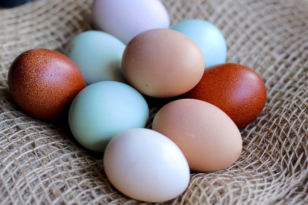 multicolored eggs