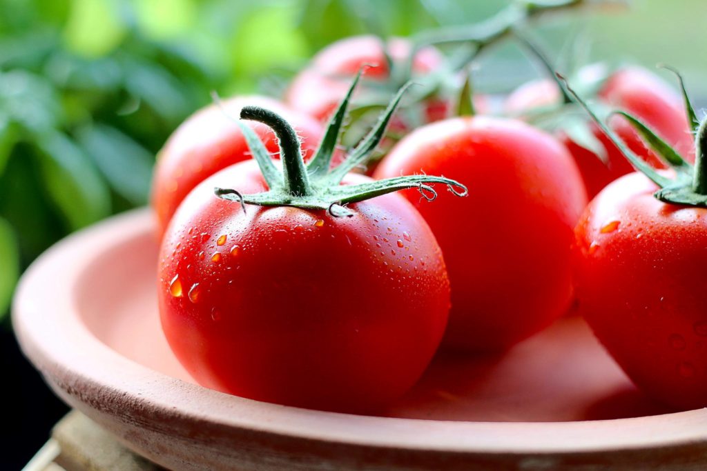 ripe tomatoes
